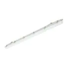Philips LED Feuchtraumleuchte Ledinaire WT065C 30/53W 4100/6800lm - 840 Kaltweiß | 150cm